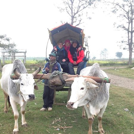 Everest Home Stay Apartment Lalitpur Buitenkant foto