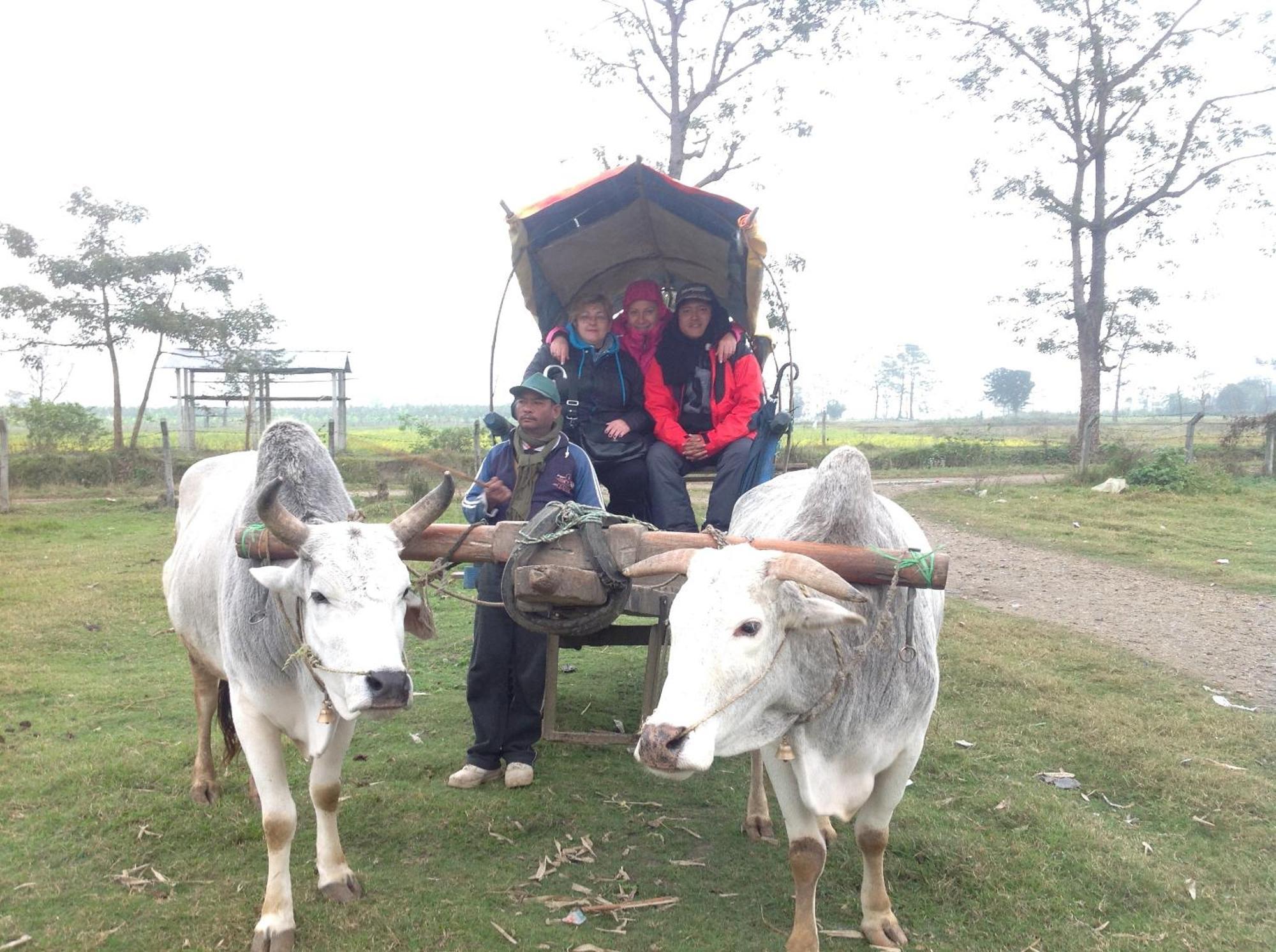 Everest Home Stay Apartment Lalitpur Buitenkant foto