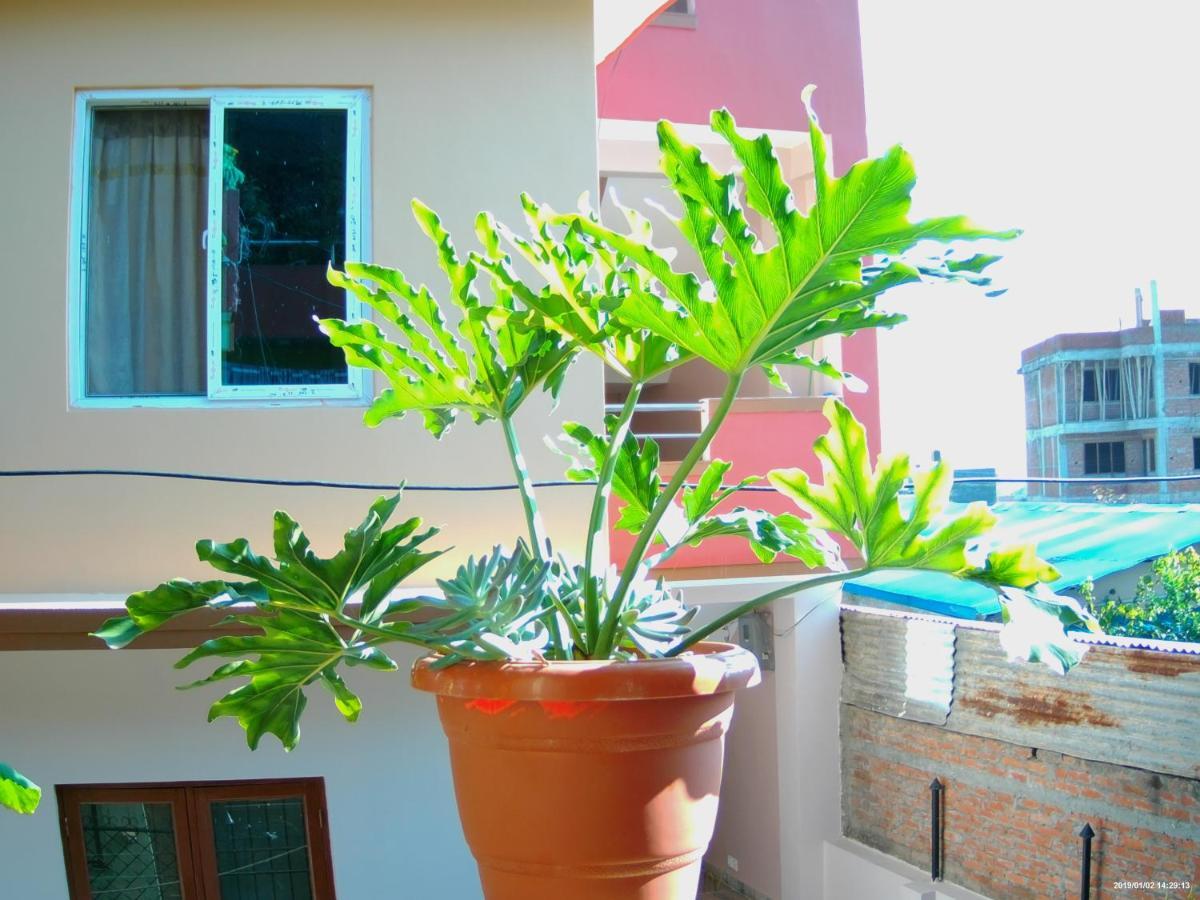 Everest Home Stay Apartment Lalitpur Buitenkant foto